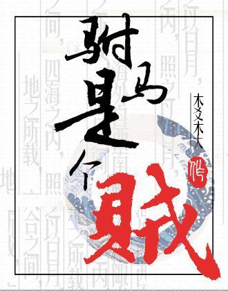 驸馬是個賊