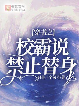 穿書之校霸說禁止替身