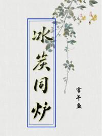 冰炭同爐