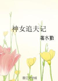 神女追夫記
