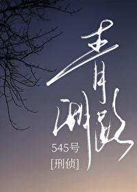 青湖路545號[刑偵]