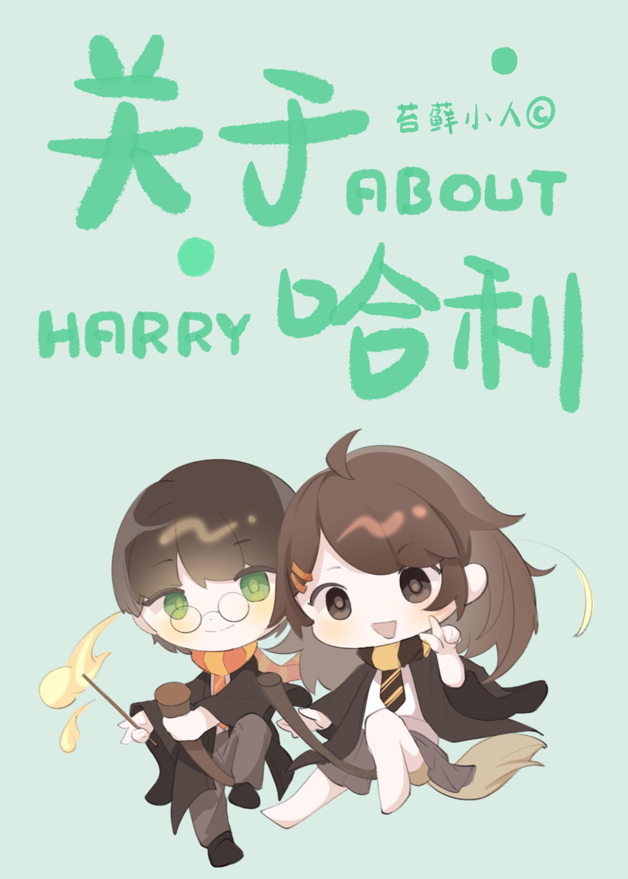 [HP]關于哈利
