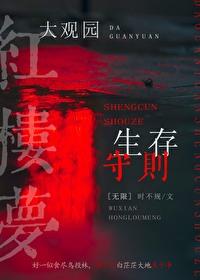 大觀園生存守則[無限]