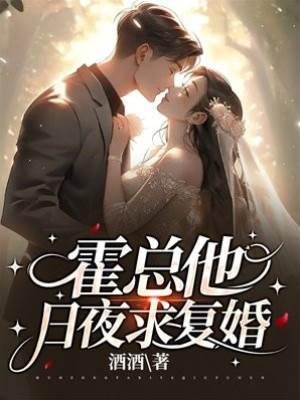 霍總他日夜求複婚
