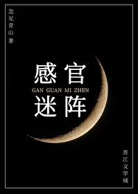 感官迷陣