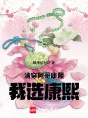 清穿：阿哥，康熙，我選康熙