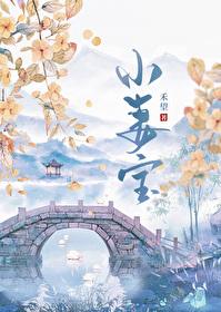 小妻寶[重生]