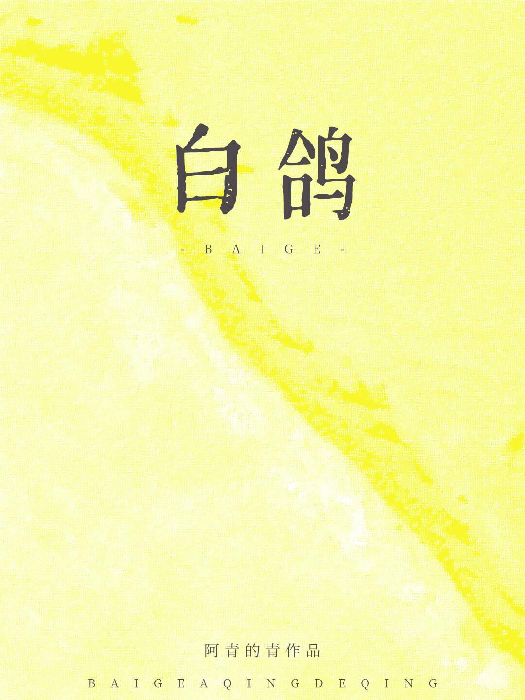 白鴿