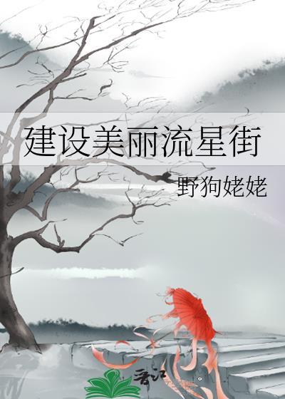 建設美麗流星街