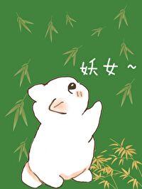 成為合歡宗妖女的短命靈寵