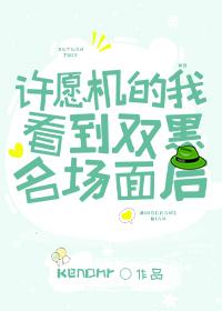 許願機的我看到雙黑名場面後
