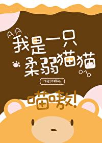 我是一只柔弱貓貓，喵嗷！（星際）