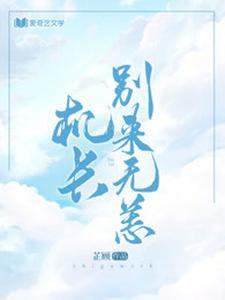 機長，別來無恙