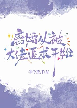 離婚從被大佬追求開始