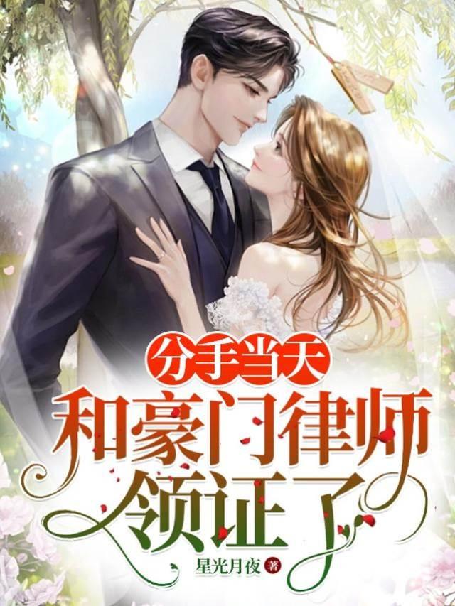 分手當天和豪門律師領證了