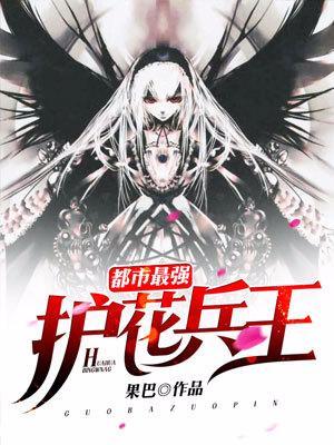 都市最強護花兵王