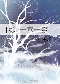 【綜】一章一穿