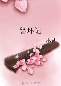 簪環記