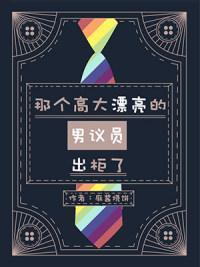 那個高大漂亮的男議員出櫃了