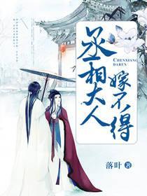 丞相大人嫁不得