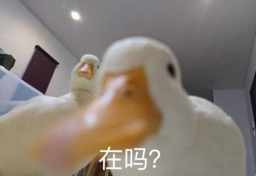 鴨血粉絲湯