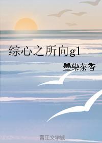 綜心之所向gl