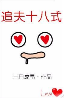 追夫十八式