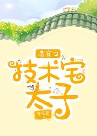 清穿之技術宅太子