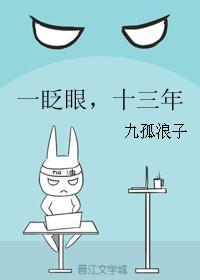 一眨眼，十三年