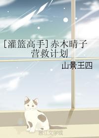 [灌籃高手]赤木晴子營救計劃