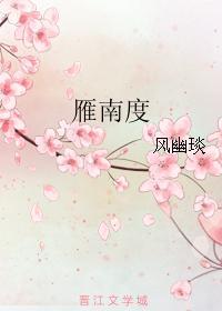 雁南度