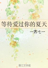 等待愛過你的夏天