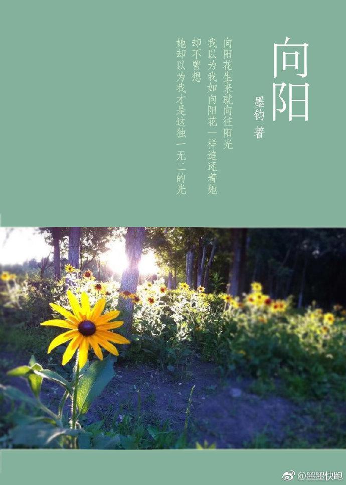 向陽gl