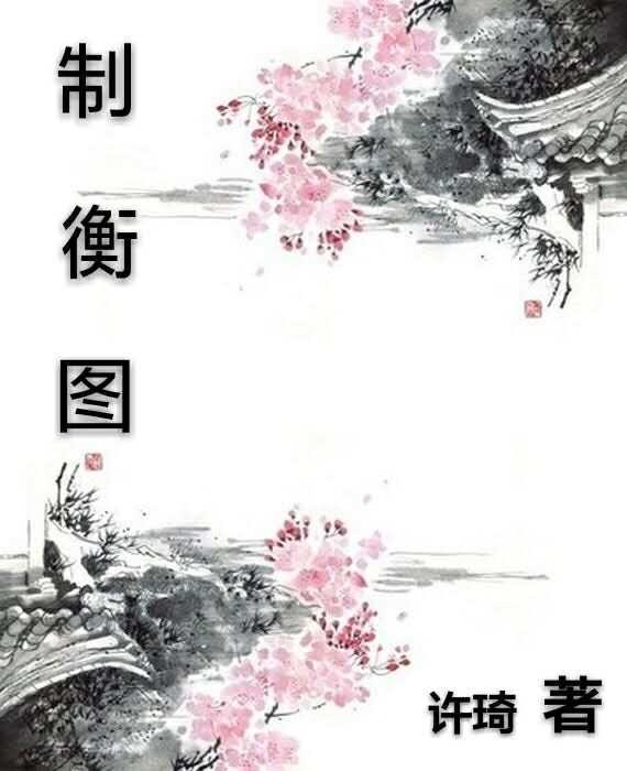 制衡圖