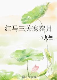 紅馬三關寒窯月