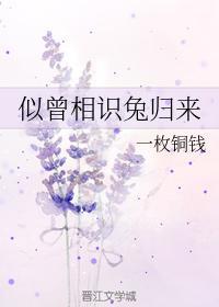 似曾相識兔歸來