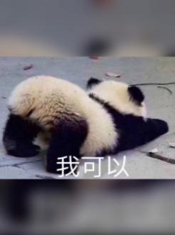 豎直彎勾