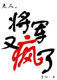 夫人，将軍又瘋了