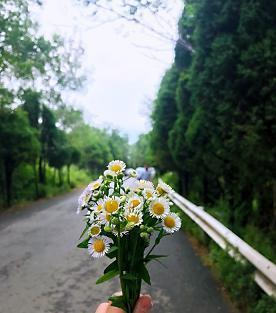 只有我能愛你