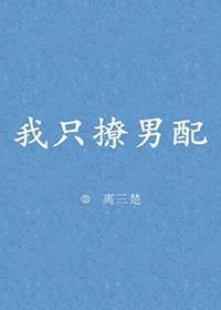 我只撩男配