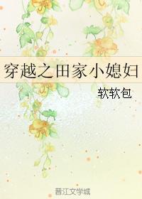 穿越之田家小媳婦
