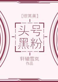 [綜英美]頭號黑粉