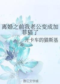 離婚之前我老公變成加菲貓了