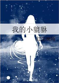 我的小貔貅