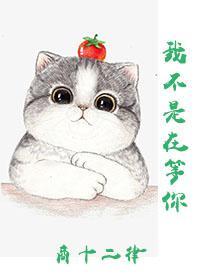 我不是在等你