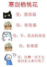 寒劍栖桃花