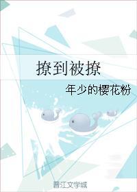 撩到被撩