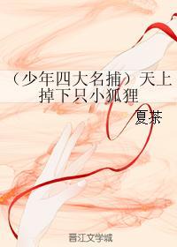 天上掉下只小狐貍