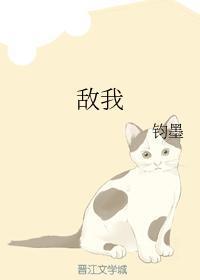 敵我