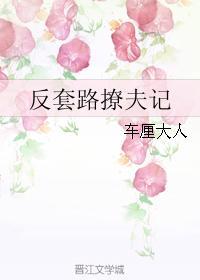 反套路撩夫記